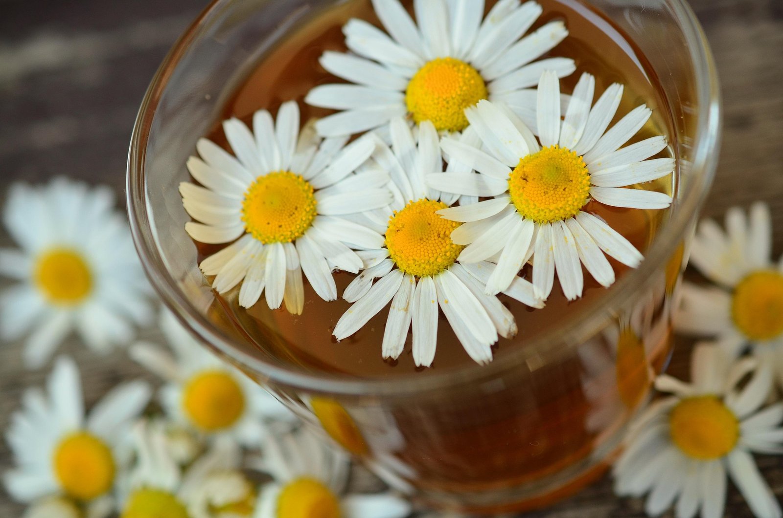 Chamomile is one of the best herbal teas for better sleep