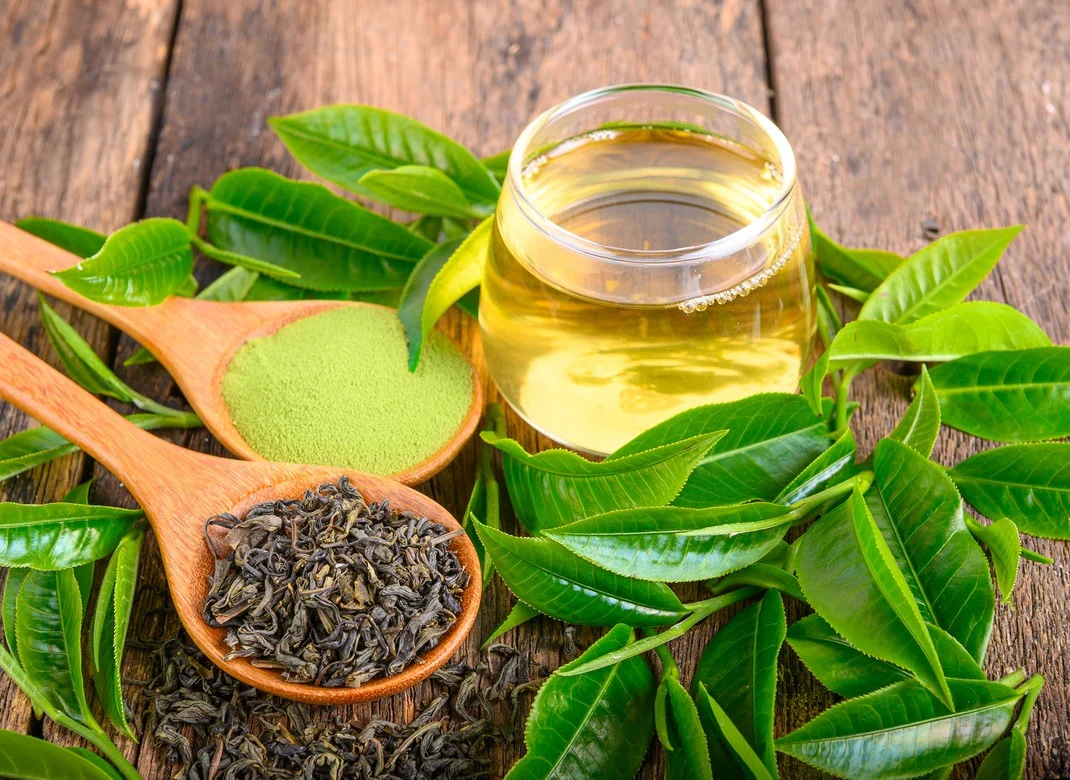 Tea Guide – different types of tea